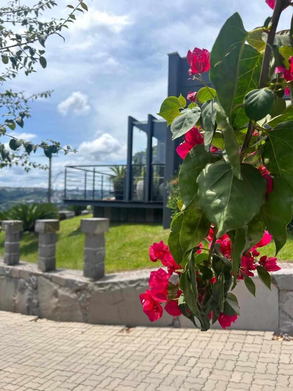 Vista Vigneti Albergo & Vino - Vale Dos Vinhedos เบงโต กองซัลเวส ภายนอก รูปภาพ