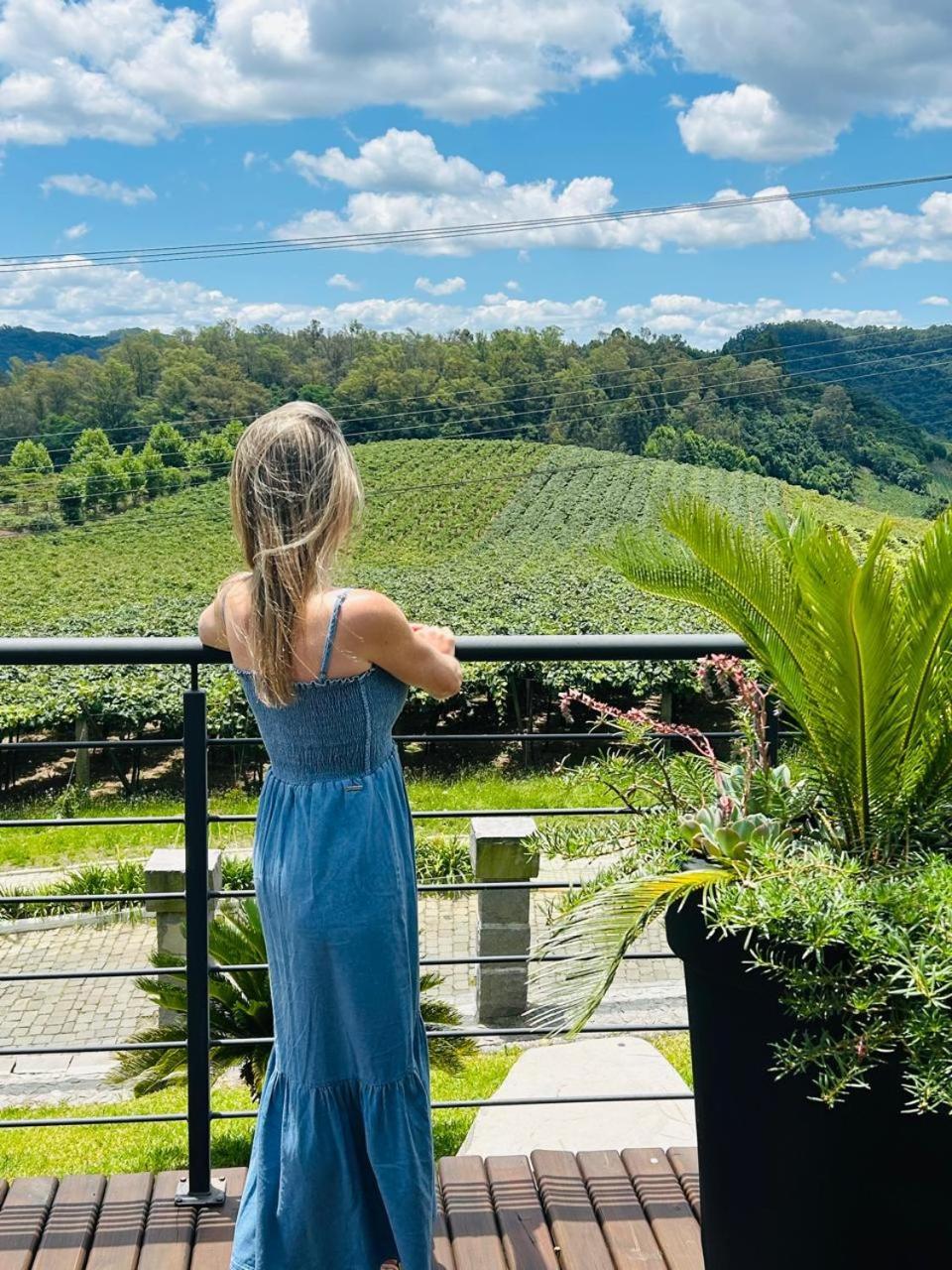 Vista Vigneti Albergo & Vino - Vale Dos Vinhedos เบงโต กองซัลเวส ภายนอก รูปภาพ